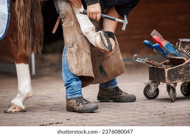 Farrier nailing horseshoe to horse hoof with a hammer. Blacksmith working in stable. Traditional animal care - Powered by Shutterstock