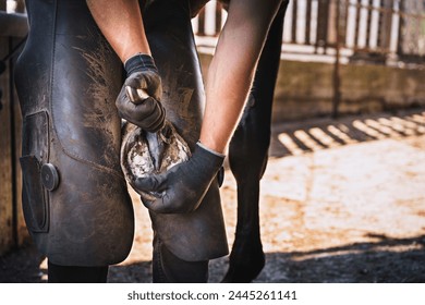 The farrier prepares the hoof for shoeing. The farrier trims and rasps off the excess hoof wall from the horse's hoof in the stable. - Powered by Shutterstock