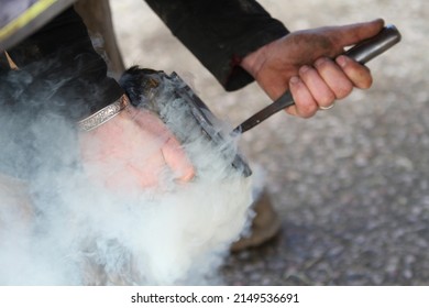 Farrier Shoeing A Horse. Hot Shoeing, Checking The Fit. Equestrian UK 