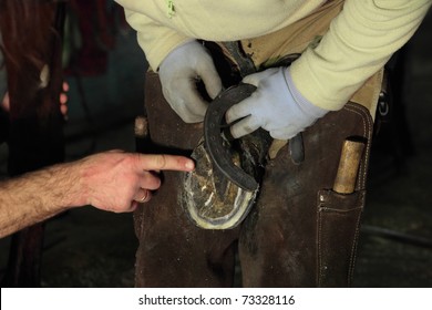 Farrier shoeing a horse on a farm