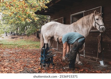 Farrier Shoeing a Horse in a Stable
 - Powered by Shutterstock