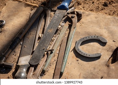farrier tools for shoeing a horse