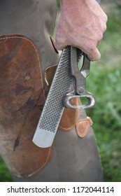 Farrier Tools In Use