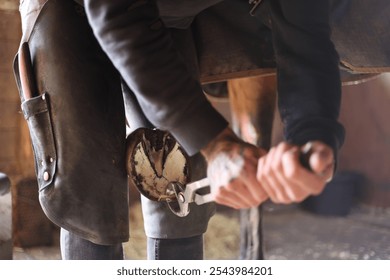 Farrier trimming horse hooves close up - Powered by Shutterstock