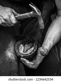 Farrier At Work