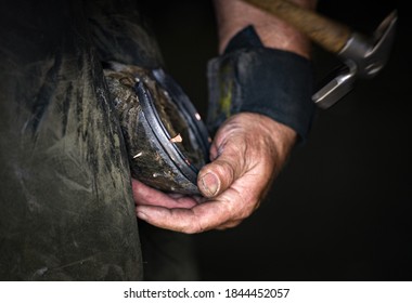 Farrier at work on the horses 