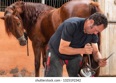 Farrier at work trimming the horses hoof .