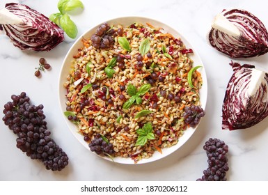 Farro Salad With Vegetables And Herbs