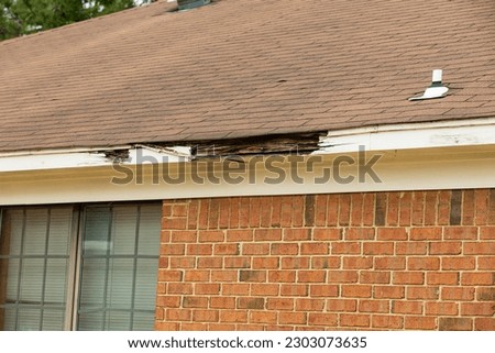 Fascia board and roof damaged from lack of maintenance.
