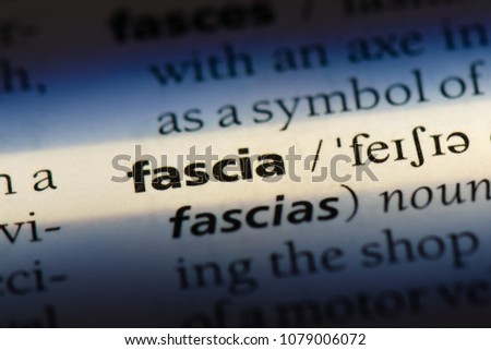 fascia word in a dictionary. fascia concept