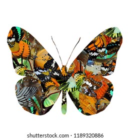 Fascinated Shape Beutiful Butterfly Fully Wing Stock Photo 1189320886 ...