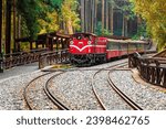 Fascinating forest train passing by station at the Alishan National Forest Recreation Area on Shenmu Station.Scenic tree view , Attractive arc track in Alishan,Taiwan.For branding, screensaver.