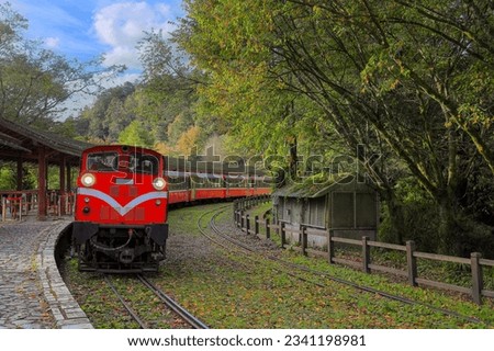 Fascinating forest train passing by station at the Alishan National Forest Recreation Area on Dueigaoyue Station.Scenic tree view , Attractive arc track in Alishan,Taiwan.For branding, screensavers.