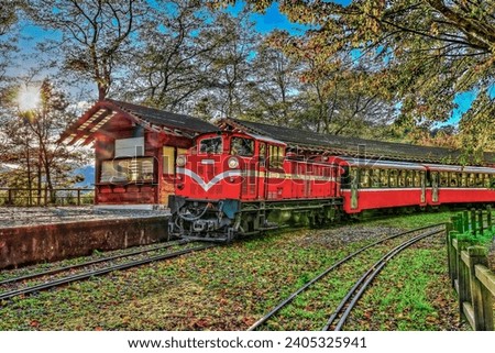 Fascinating forest train passing by station at the Alishan National Forest Recreation Area on Dueigaoyue Station.Scenic tree view , Attractive arc track in Alishan,Taiwan.For branding, screensavers.