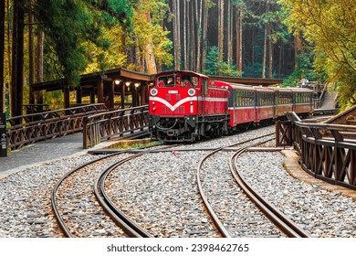 Fascinating red forest train passing by the wooden platform at the Alishan National Forest Recreation Area on Shenmu Station in Chiayi, Taiwan. This scenic morning view captures the narrow-gauge vintage diesel locomotive on an attractive arc track curving through the dense coniferous pine woods. Surrounded by majestic ancient cypress trees and lush mountain vegetation, this traditional railway journey illustrates Asian ecotourism, heritage transit, and beautiful wilderness landscapes. Ideal for travel editorial, Asian tourism concepts, industrial history, and nature exploration themes. A picturesque autumn moment capturing Taiwanese cultural transportation and pristine forest scenery.