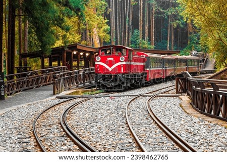 Fascinating red forest train passing by the wooden platform at the Alishan National Forest Recreation Area on Shenmu Station in Chiayi, Taiwan. This scenic morning view captures the narrow-gauge vintage diesel locomotive on an attractive arc track curving through the dense coniferous pine woods. Surrounded by majestic ancient cypress trees and lush mountain vegetation, this traditional railway journey illustrates Asian ecotourism, heritage transit, and beautiful wilderness landscapes. Ideal for travel editorial, Asian tourism concepts, industrial history, and nature exploration themes. A picturesque autumn moment capturing Taiwanese cultural transportation and pristine forest scenery.
