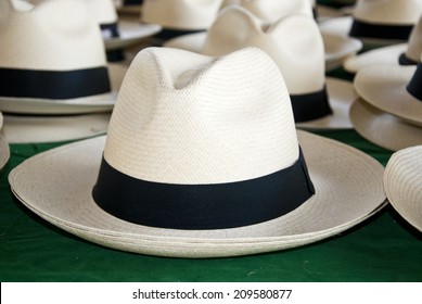 Sombrero De Paja Imagenes Fotos De Stock Y Vectores Shutterstock