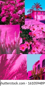 Fashion Aesthetic Moodboard. Pink Plant Vibes. Travel Mood