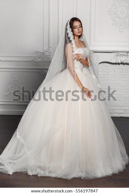 Fashion Bride Gorgeous Wedding Dress Studio Stockfoto Jetzt