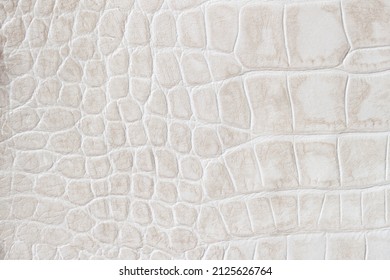 Fashion Cream Scales Macro Exotic Background, Embossed Under The Skin Of A Reptile, Crocodile. Texture Genuine Leather Close-up. For Backdrop, Substrate, Composition Use. With Place For Your Text