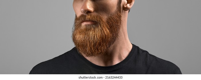 Fashion model with stylish beard. Man with long red beard and mustache. Barber fashion and beauty concept close-up photo