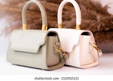 Fashion Photo Of Two Purse. Beige And Green Woman Handbag With Gold Chain On Background Of Pampas Grass Or Dried Flowers. Isolated On White Background. Product Composition Photography.