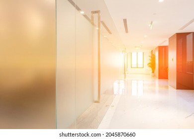 Fashion Style Office, Bright Corridor, Light Shining In, Glass Door Room