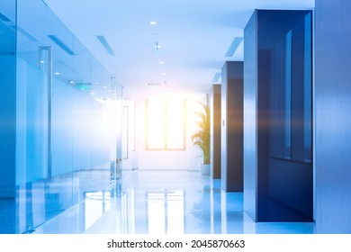 Fashion Style Office, Bright Corridor, Light Shining In, Glass Door Room