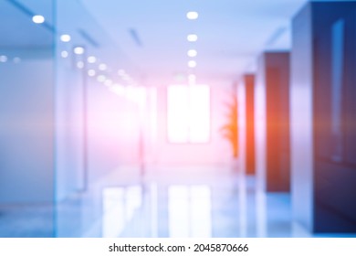 Fashion Style Office, Bright Corridor, Light Shining In, Glass Door Room