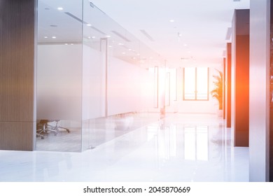 Fashion Style Office, Bright Corridor, Light Shining In, Glass Door Room