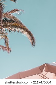 Fashion Travel Aesthetic Wallpaper. Minimal Tropical Design. Palm And Beach Umbrella