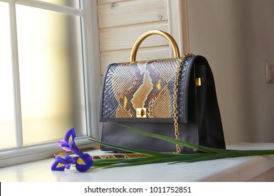 Fashionable Blue Colored Woman S Bag With Snake Skin Imitation. It Has A Little Handle And Long Golden Chain On It. It Stands On Windows Background.