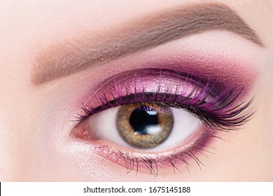 Fashionable Bright Eye Make Up Close-up. Female Eye With Pink Violet Shadows And False Eyelashes, Macro.