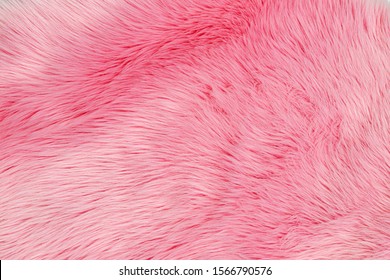 furry pink