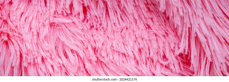 Fashionable Rose Color Fur Texture. Long Hair Pink Furry Carpet Texture. Banner. Pink Fluffy Fur, Fashion Background. Decorative Pink Dyed Sheepskin. Long Hair Rug.