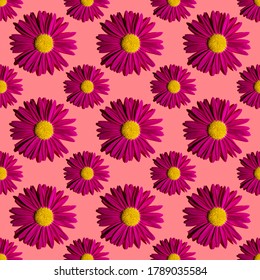 Fashionable summer floral pattern. Bright pink daisies on a pink background with hard shadows, flat lay, top view, seamless texture. Minimalistic background in style pop art. Fabric and card ideas.
