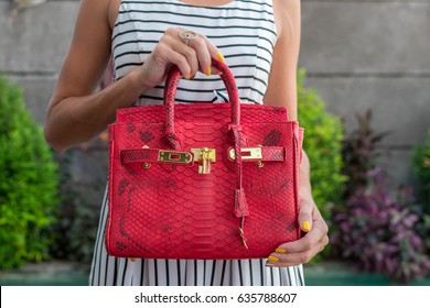 Fashionable Woman Holding Luxury Snakeskin Python Bag. Elegant Outfit. Close Up Of Purse In Hands Of Stylish Lady. Model Posing Near The Swimming Pool. Bali Island.