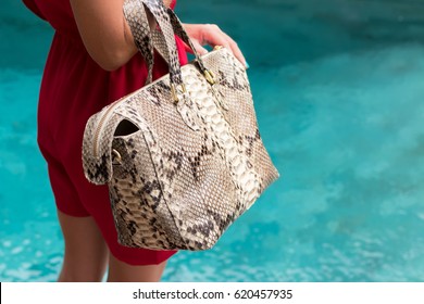 Fashionable Woman In Red Dress Holding Leather Snakeskin Python Bag. Elegant Outfit. Close Up Of Purse In Hands Of Stylish Lady. Model Posing Near The Swimming Pool.