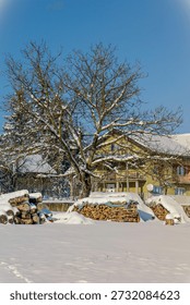 A fast, cold river flows through a winter landscape on a bright, sunny day. Snow blankets the ground, covering nearby trees, small houses, and quiet roads that wind through the scene. The dark, moving water contrasts beautifully with the white surroundings, while sunlight reflects off icy edges and shimmering ripples. Tall trees along the riverbanks are heavy with snow, adding depth and texture to the composition.

In the distance, simple houses sit peacefully among the trees, their roofs covered in white, suggesting warmth and shelter within the cold season. Snow-covered roads lead through the landscape, guiding the eye and adding a sense of place and direction. The air feels crisp and fresh, enhancing the clean, calm atmosphere.

This winter scene combines natural energy with human presence, making it ideal for themes such as seasonal travel, rural life, winter lifestyle, resilience, and European countryside beauty.