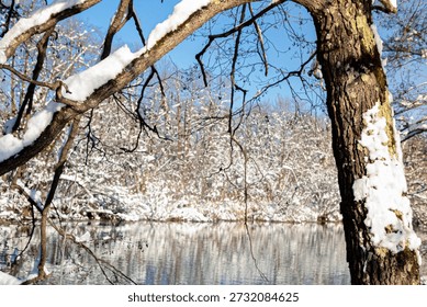 A fast, cold river flows through a winter landscape on a bright, sunny day. Snow blankets the ground, covering nearby trees, small houses, and quiet roads that wind through the scene. The dark, moving water contrasts beautifully with the white surroundings, while sunlight reflects off icy edges and shimmering ripples. Tall trees along the riverbanks are heavy with snow, adding depth and texture to the composition.

In the distance, simple houses sit peacefully among the trees, their roofs covered in white, suggesting warmth and shelter within the cold season. Snow-covered roads lead through the landscape, guiding the eye and adding a sense of place and direction. The air feels crisp and fresh, enhancing the clean, calm atmosphere.

This winter scene combines natural energy with human presence, making it ideal for themes such as seasonal travel, rural life, winter lifestyle, resilience, and European countryside beauty.