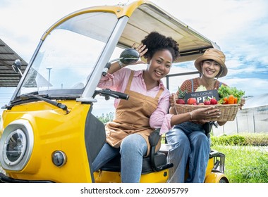 Fast Delivery Service Car Driving With Order Business Background Concept. Home Delivery Fresh Vegetables In Basket. Food Delivery Service. Woman Accepting Groceries Box.