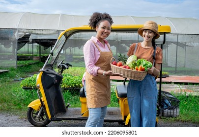 Fast Delivery Service Car Driving With Order Business Background Concept. Home Delivery Fresh Vegetables In Basket. Food Delivery Service. Woman Accepting Groceries Box.