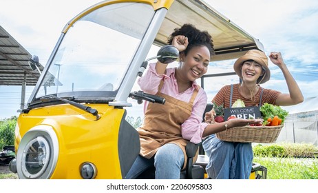 Fast Delivery Service Car Driving With Order Business Background Concept. Home Delivery Fresh Vegetables In Basket. Food Delivery Service. Woman Accepting Groceries Box.