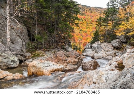 Fast flowing mountain creek in autumn. Stunning fall foliage in background. Pinkham Notch, N, USA.