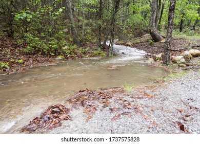 A fast flowing stream down a mountain from run off from a 3 day rain storm. - Shutterstock ID 1737575828