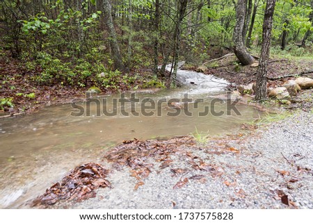 A fast flowing stream down a mountain from run off from a 3 day rain storm.
