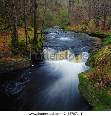 Fast flowing stream and waterfall, Hamsterley Forest, County Durham, England, UK.
