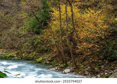 Fast flowing turquoise water cascading through a rocky gorge in autumn, in the vintgar gorge, near bled, slovenia - Powered by Shutterstock