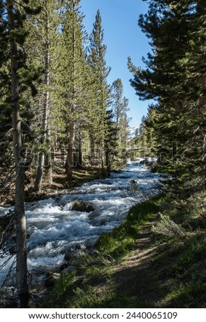 Fast flowing water in Rock Creek in the Sierra Nevada mountains.