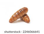 Fast food and snacks in Thailand fried chrysalis worms isolated white background.